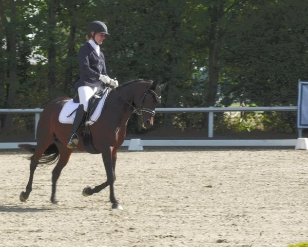 Reitturnier Zillhofen/Obb. 2023