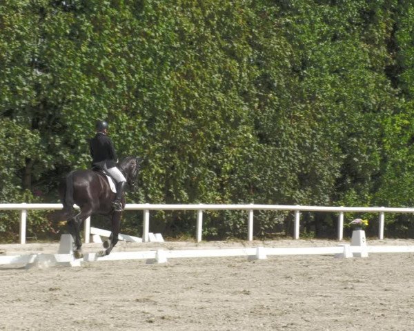 Reitturnier Zillhofen/Obb. 2023