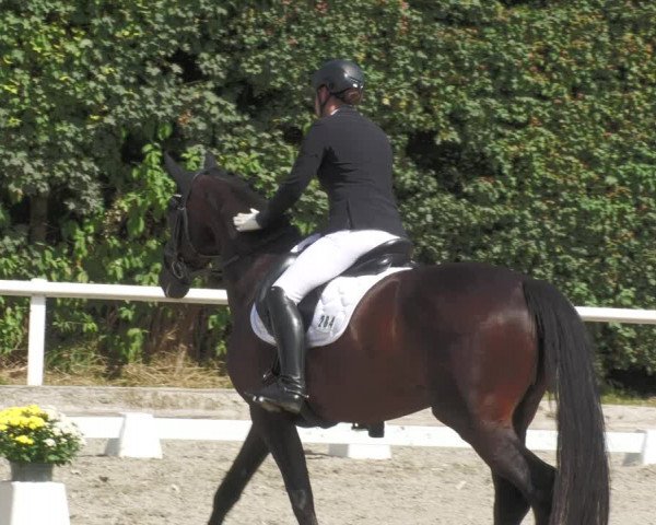 Reitturnier Zillhofen/Obb. 2023