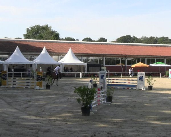 Reitturnier Werne 2023