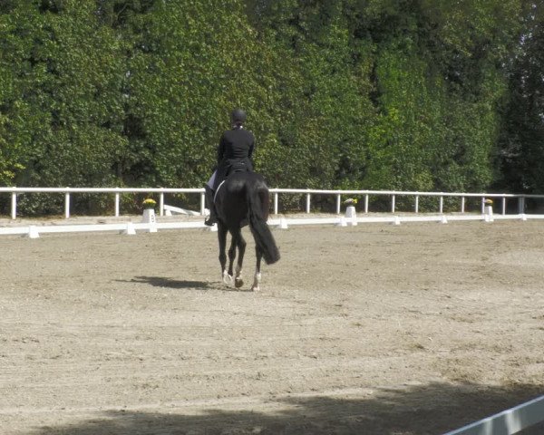 Reitturnier Zillhofen/Obb. 2023