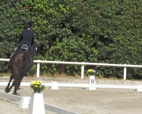 Reitturnier Zillhofen/Obb. 2023