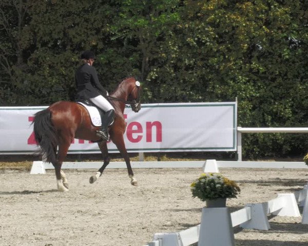Reitturnier Zillhofen/Obb. 2023