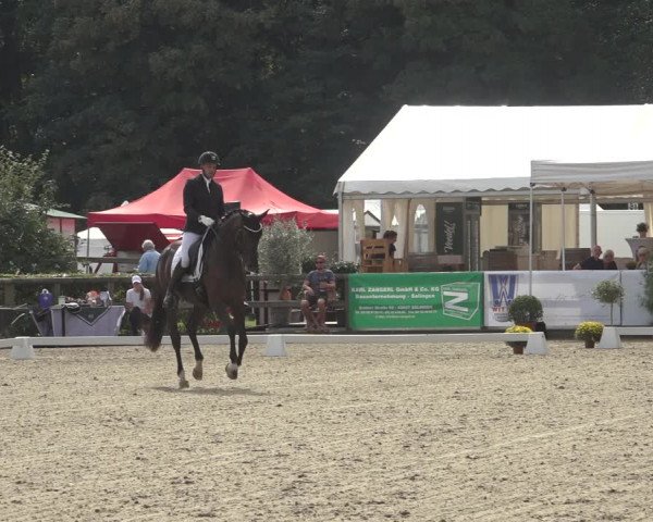 Reitturnier Solingen 2023