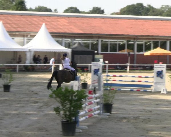 Reitturnier Werne 2023