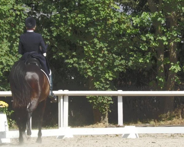 Reitturnier Zillhofen/Obb. 2023