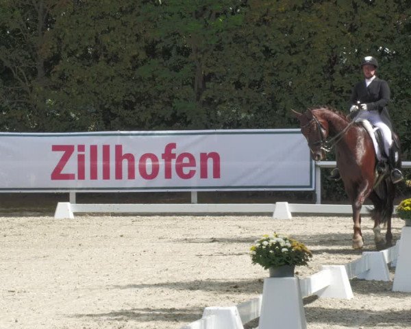 Reitturnier Zillhofen/Obb. 2023