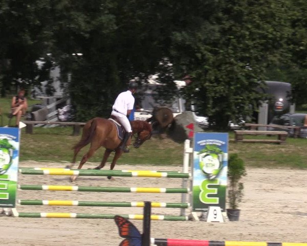 Reitturnier Pietzpuhl 2023