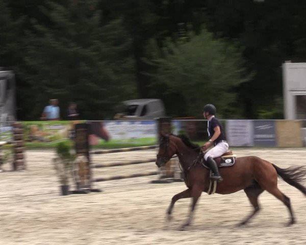 Reitturnier Pietzpuhl 2023