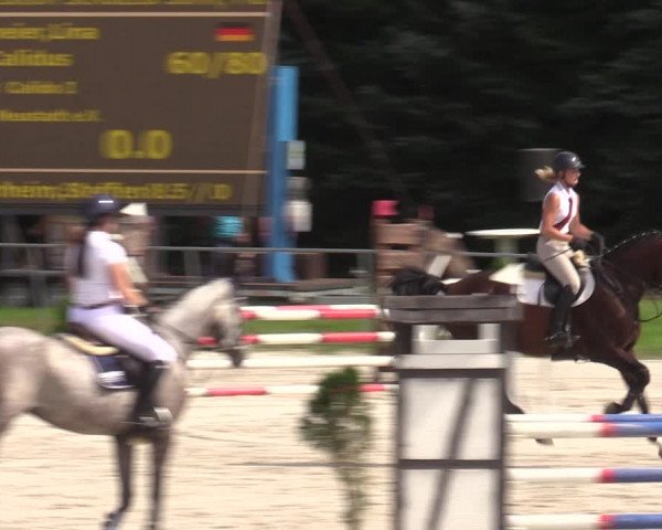 Reitturnier Pietzpuhl 2023