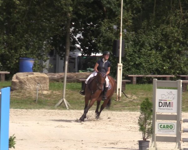 Reitturnier Pietzpuhl 2023