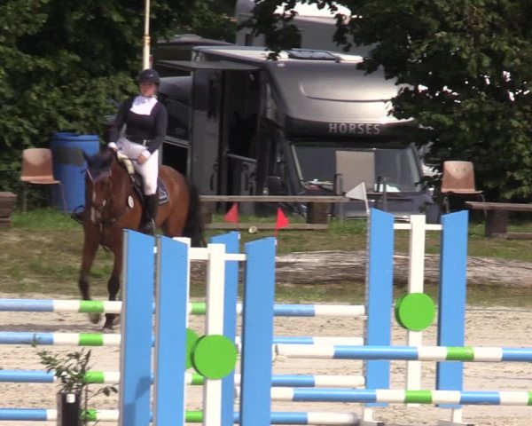 Reitturnier Pietzpuhl 2023