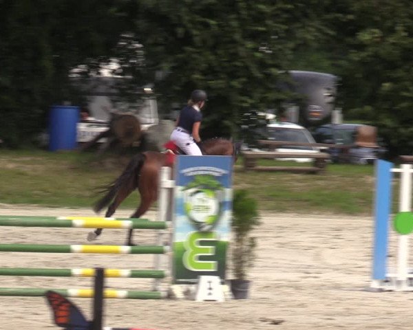 Reitturnier Pietzpuhl 2023