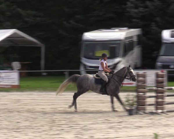 Reitturnier Pietzpuhl 2023