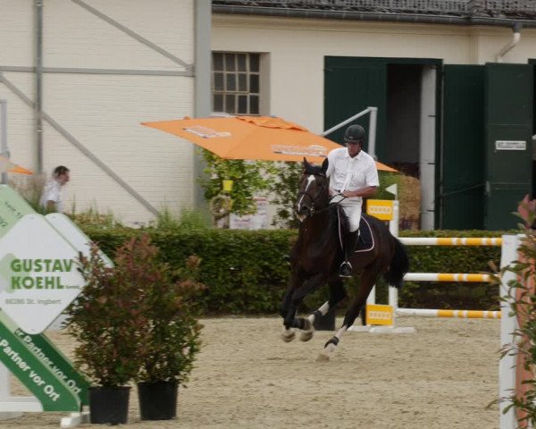 Reitturnier St.Wendel, Gestüt Welvert 2023