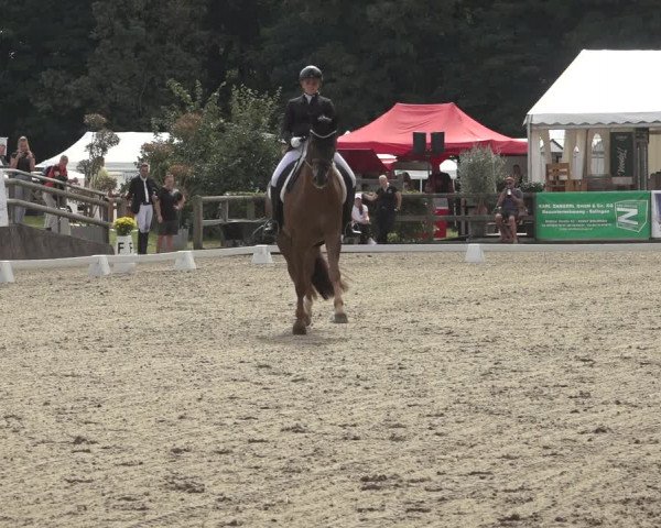 Reitturnier Solingen 2023