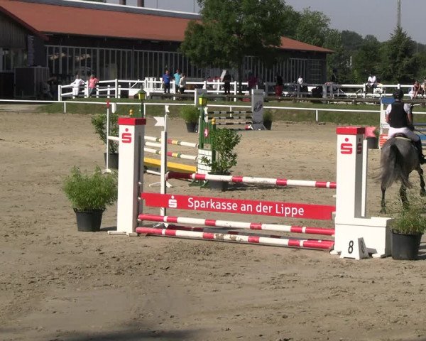 Reitturnier Werne 2023