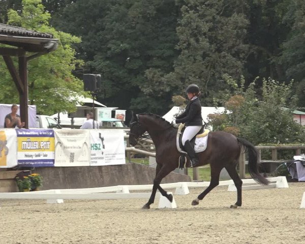 Reitturnier Solingen 2023