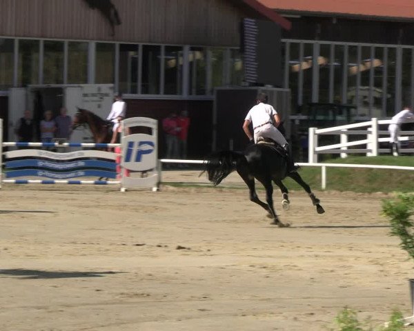 Reitturnier Werne 2023