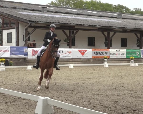 Reitturnier Solingen 2023