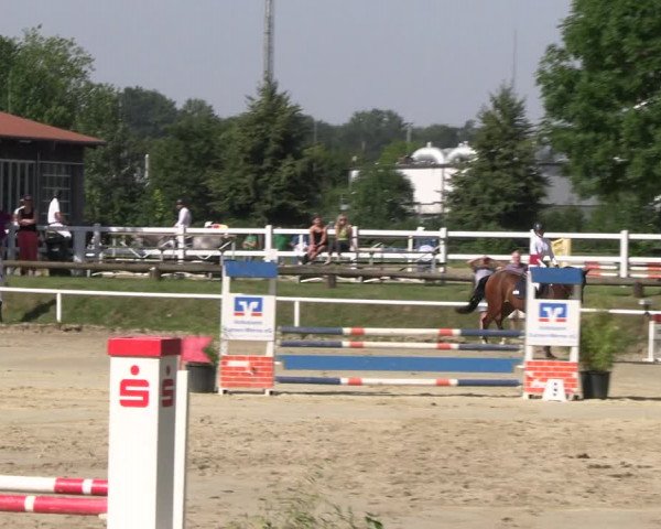 Reitturnier Werne 2023