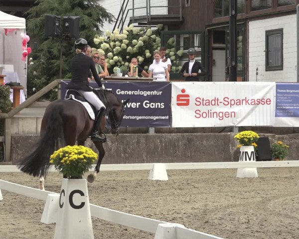 Reitturnier Solingen 2023