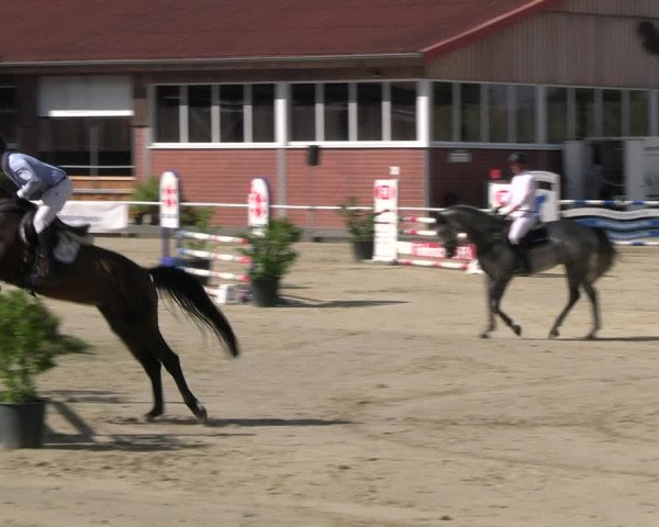 Reitturnier Werne 2023