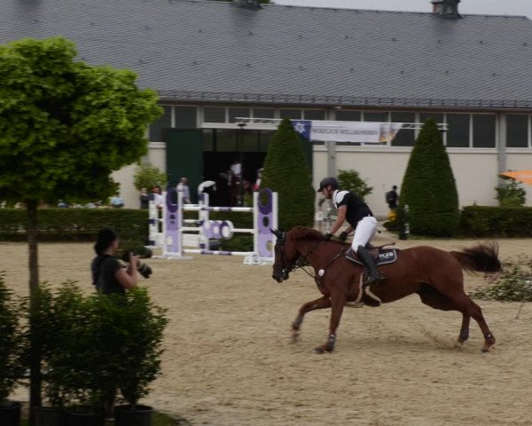 Reitturnier St.Wendel, Gestüt Welvert 2023