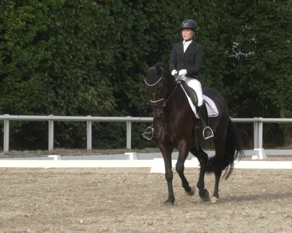 Reitturnier Zillhofen/Obb. 2023