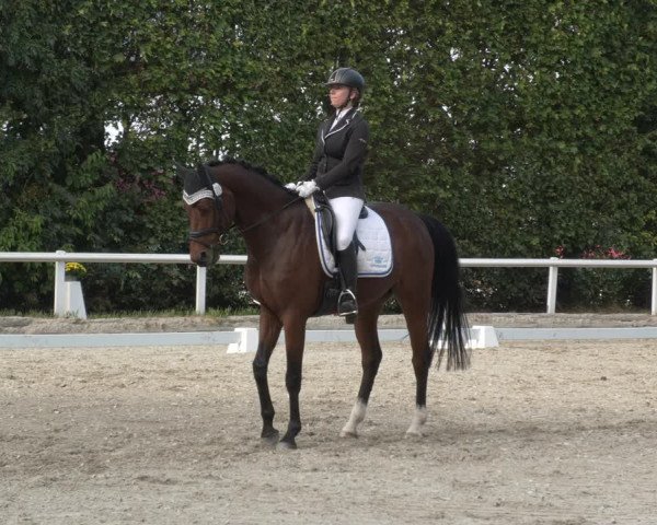 Reitturnier Zillhofen/Obb. 2023