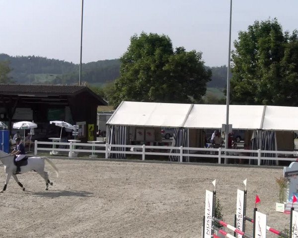 Reitturnier Hüntwangen 2023