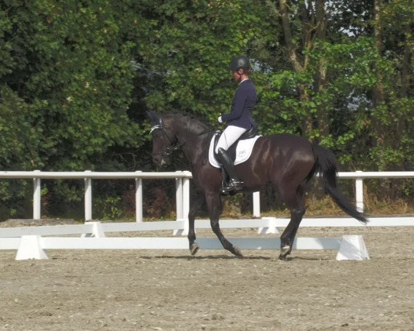 Reitturnier Zillhofen/Obb. 2023