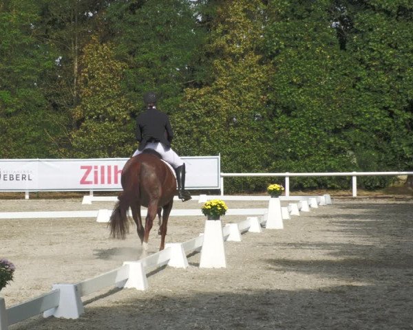 Reitturnier Zillhofen/Obb. 2023
