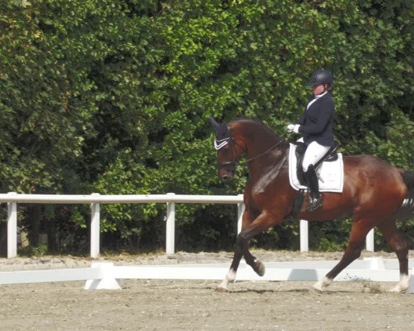 Reitturnier Zillhofen/Obb. 2023