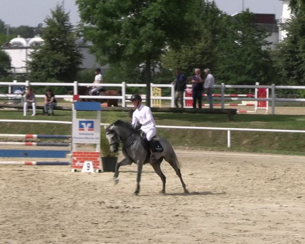 Reitturnier Werne 2023