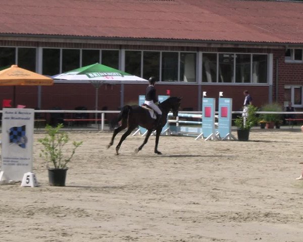 Reitturnier Werne 2023