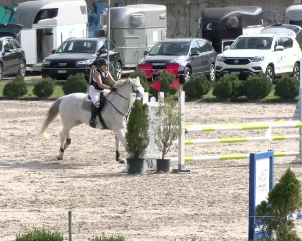 Reitturnier Basel Schänzli 2021