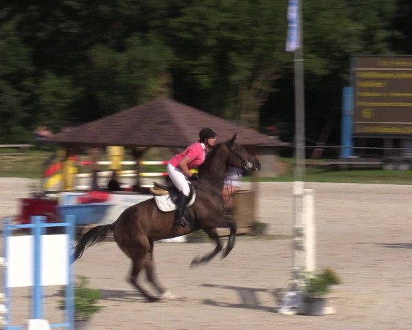 Reitturnier Pietzpuhl 2023