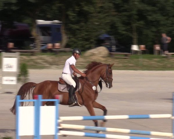 Reitturnier Pietzpuhl 2023