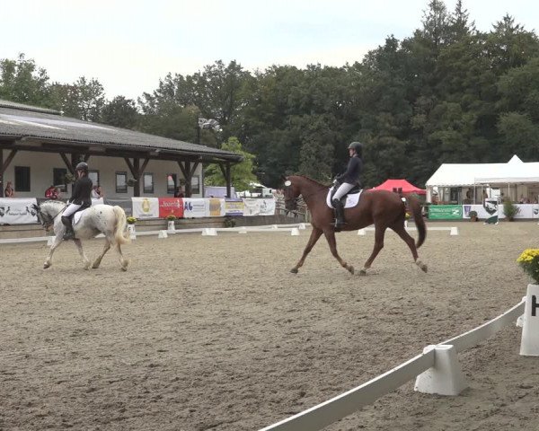 Reitturnier Solingen 2023