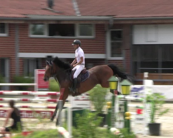 Reitturnier Werne 2023