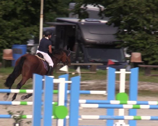 Reitturnier Pietzpuhl 2023