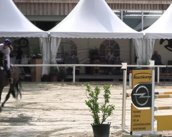 Reitturnier Werne 2023
