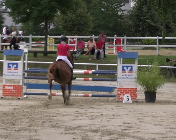 Reitturnier Werne 2023