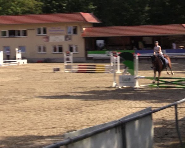 Reitturnier Lgl.-Oberhain, B95 2021