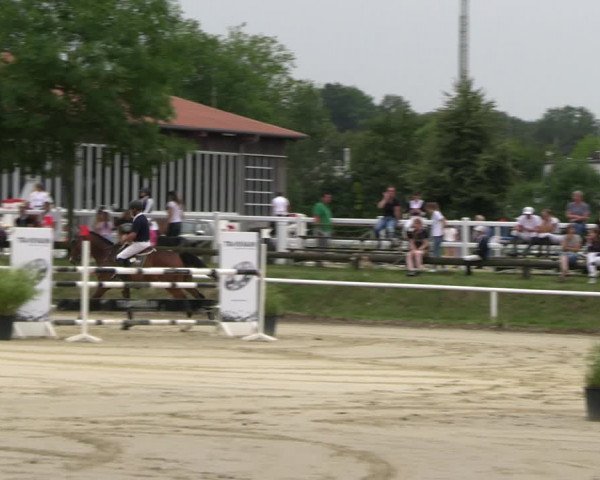 Reitturnier Werne 2023