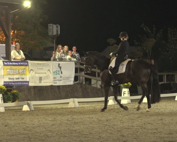 Reitturnier Solingen 2023