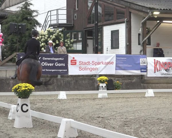 Reitturnier Solingen 2023