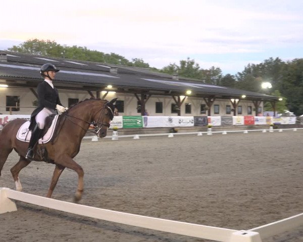 Reitturnier Solingen 2023