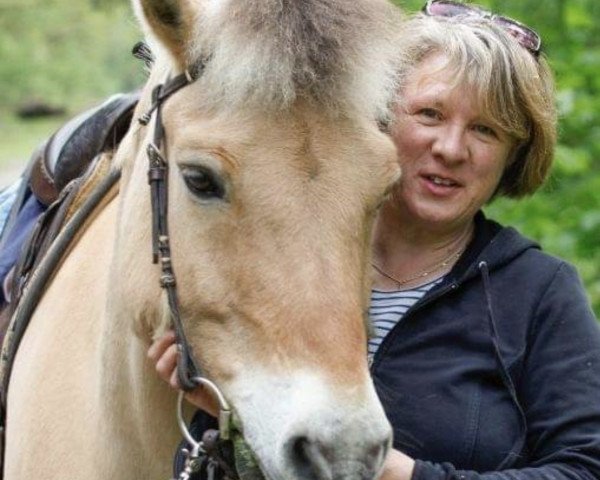 horse Ben (Fjord Horse, 1992, from Blitzi Ha 1050)